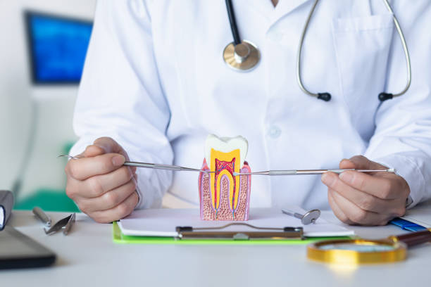 Best Emergency Wisdom Tooth Extraction in Raoul, GA